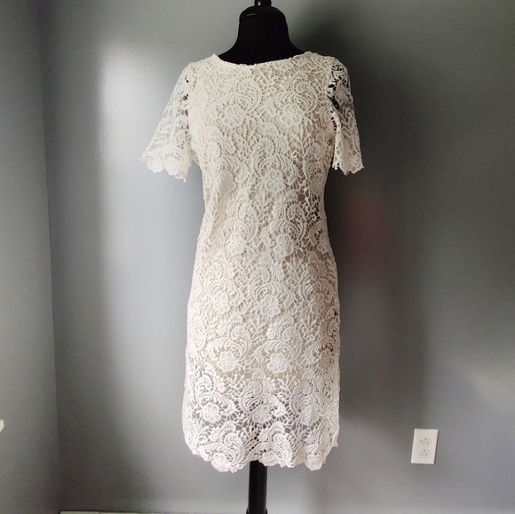Lace Sheath Dress - Picture 1 of 5